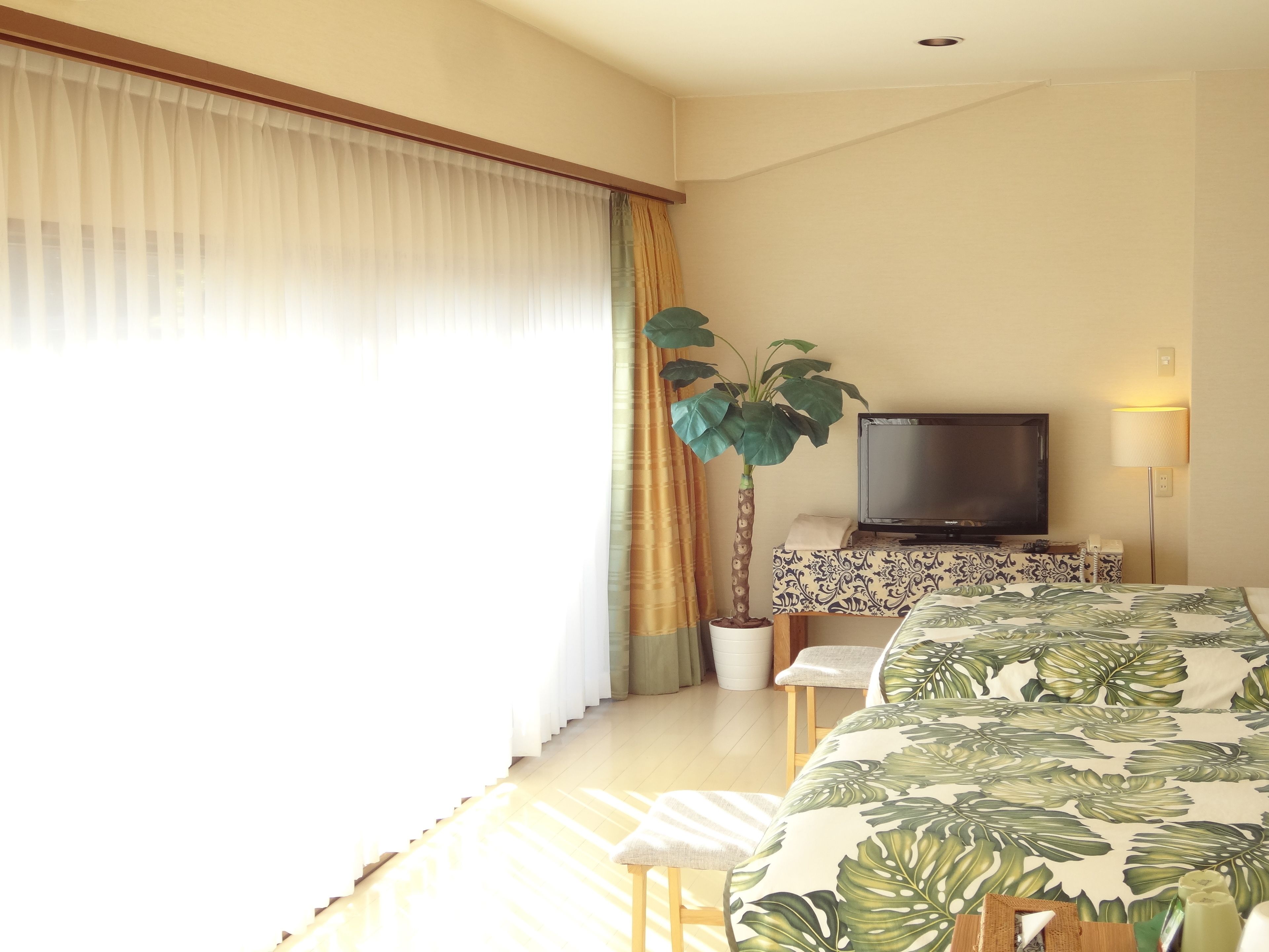 A hotel room with a bed, a television, a potted plant, a desk, and a lamp.