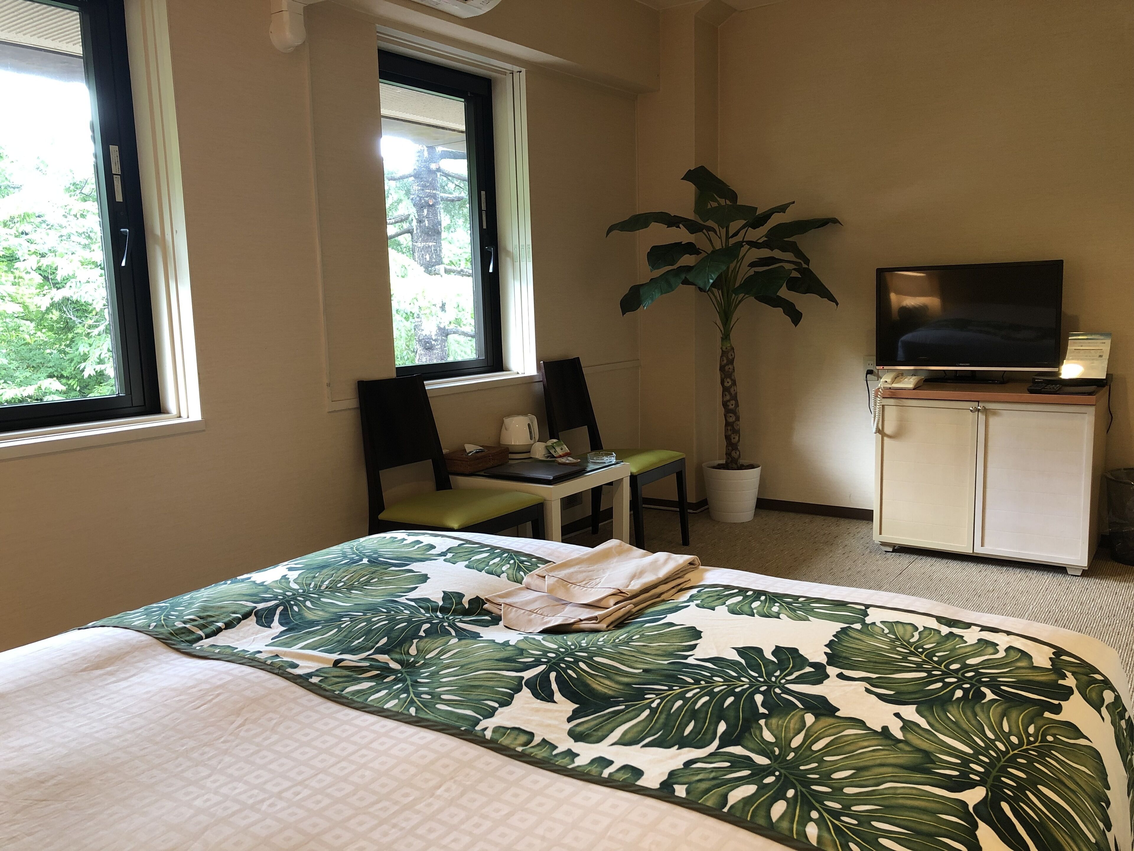 standard double room (tropical style) | 1 bedroom, free wifi