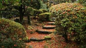 Un chemin de pierres dans un jardin, avec des rochers couverts de mousse et un feuillage dense.