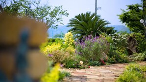 A garden pathway with a variety of plants and a palm tree. - Chres (Kochi)