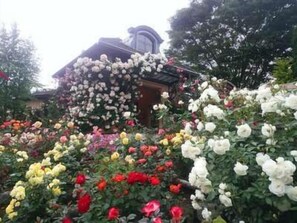 บริเวณที่พัก