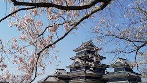 A traditional Japanese castle with multiple tiers and a stone base, surrounded by a well-maintained garden and cherry blossoms. - Oiwakeya Ryokan (Matsumoto)