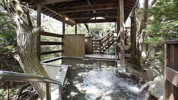 Una estructura de madera con un sendero de piedra que lleva a una pequeña fuente de agua.