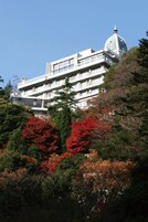外觀