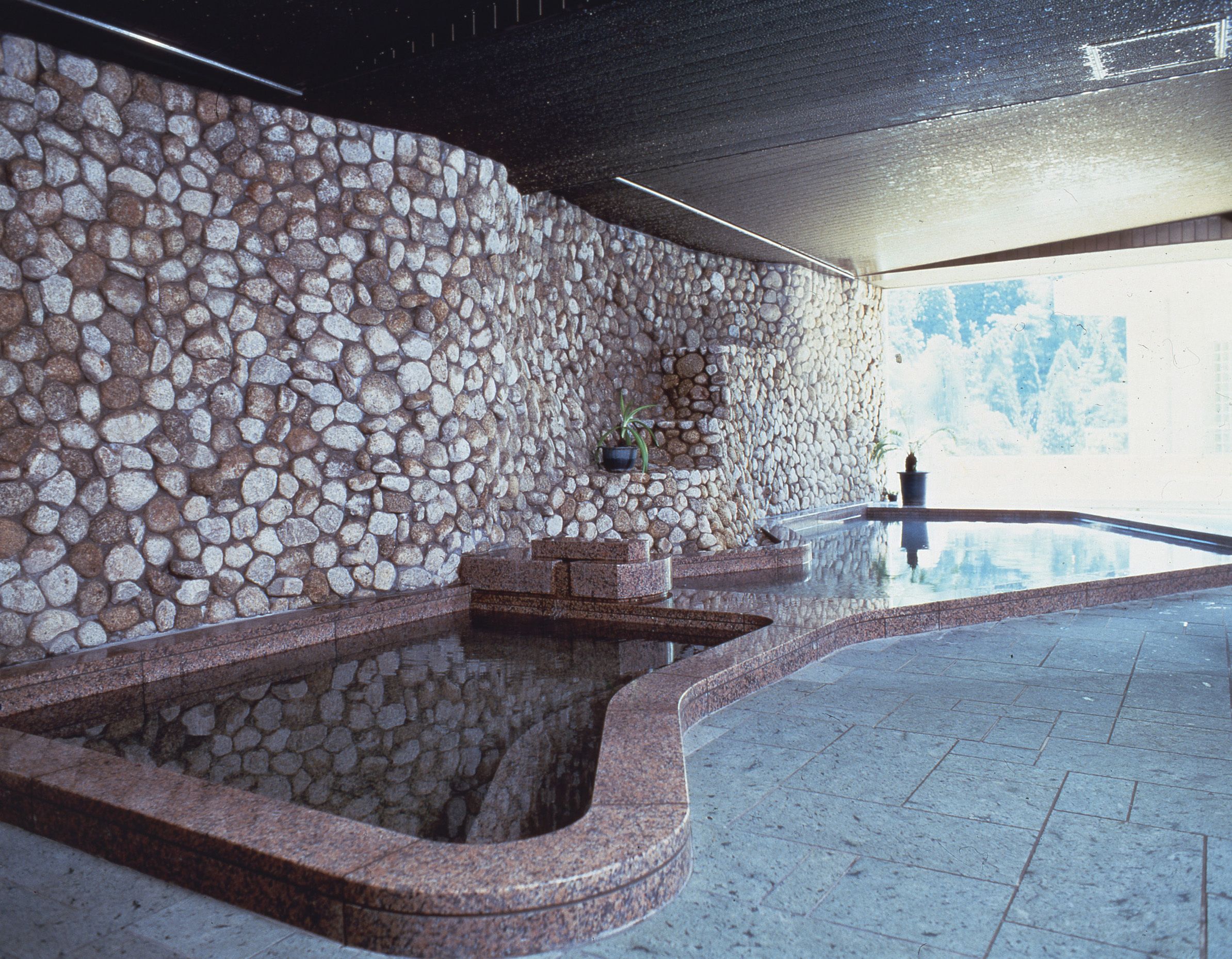 A spa area with a stone wall, a reflecting pool, and a potted plant.