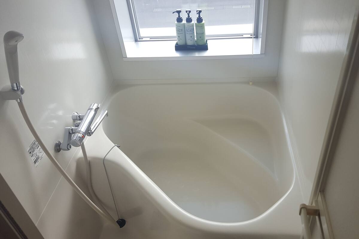 combined shower/bathtub, hair dryer, slippers, electronic bidet