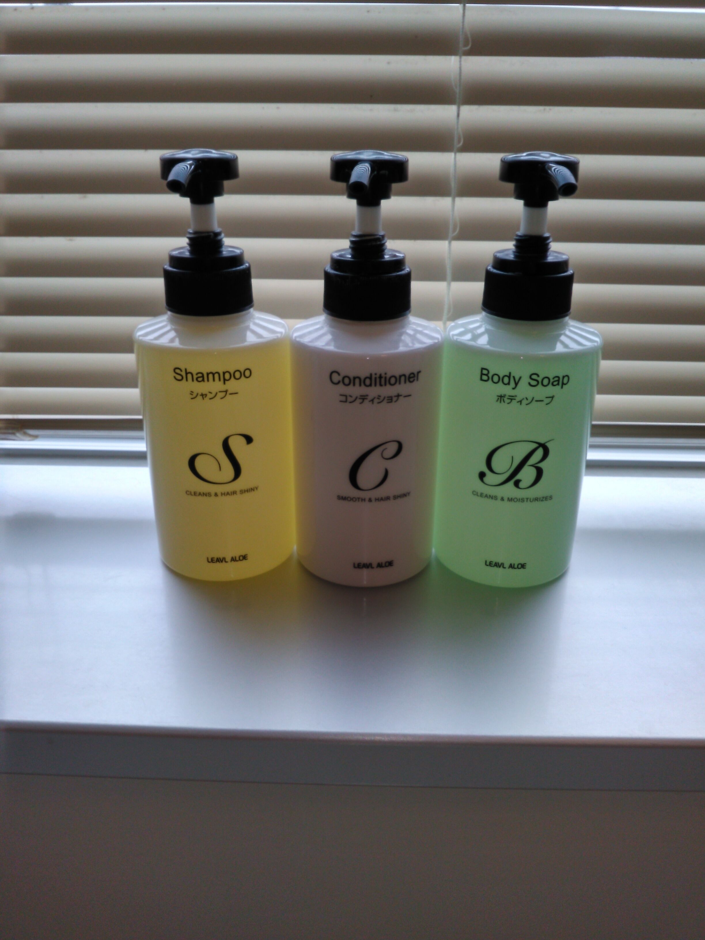 combined shower/bathtub, hair dryer, slippers, electronic bidet