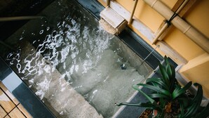 A hot spring area with a wooden deck and a potted plant.