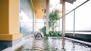 A tranquil indoor water feature with a stone structure, surrounded by large windows and indoor plants.
