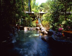 A tranquil garden with a clear stream, rocks, and lush greenery. - Hana No Omotenashi Nanraku (Minamiizu)
