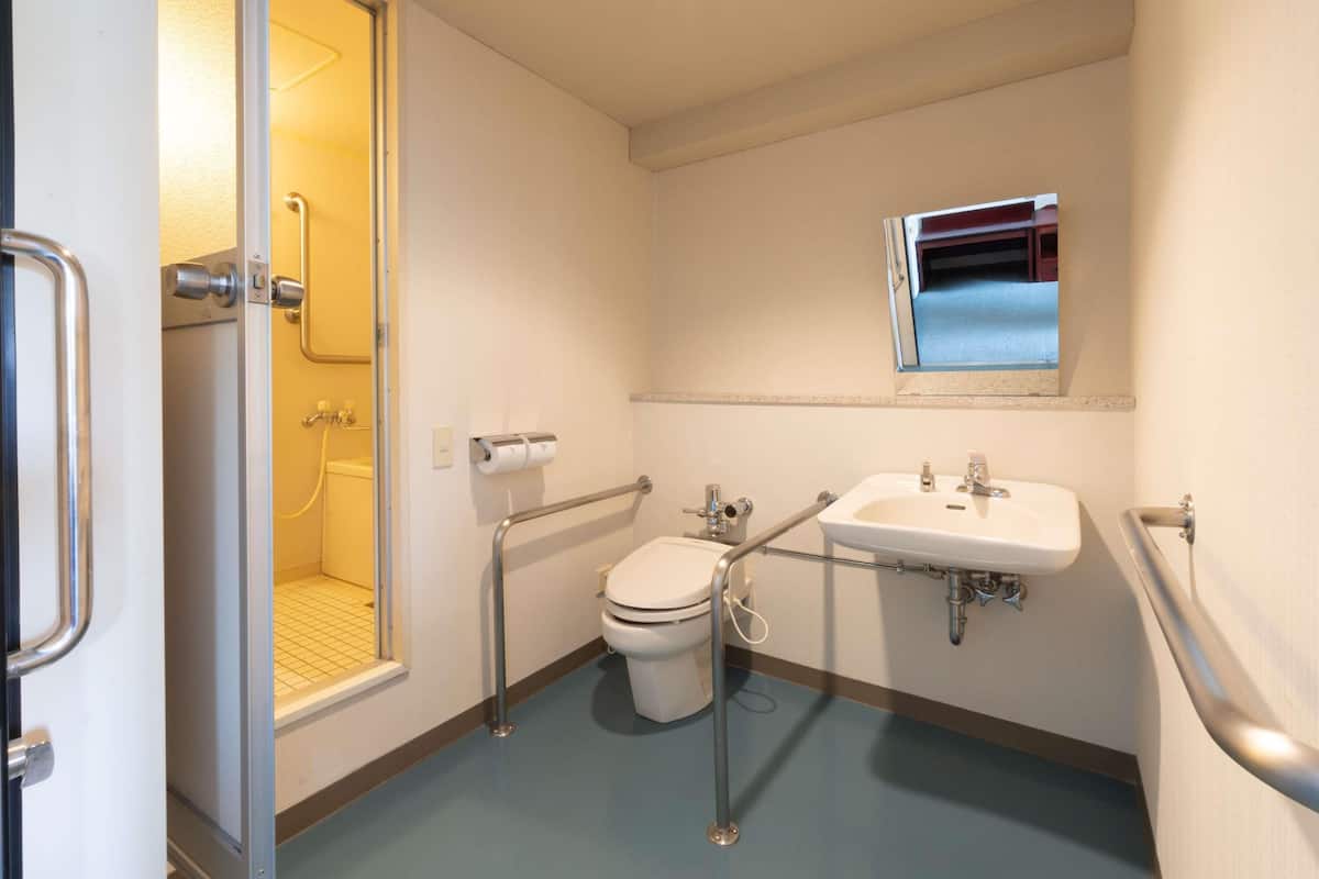 A bathroom with a shower, toilet, and sink, equipped with grab bars and a mirror.