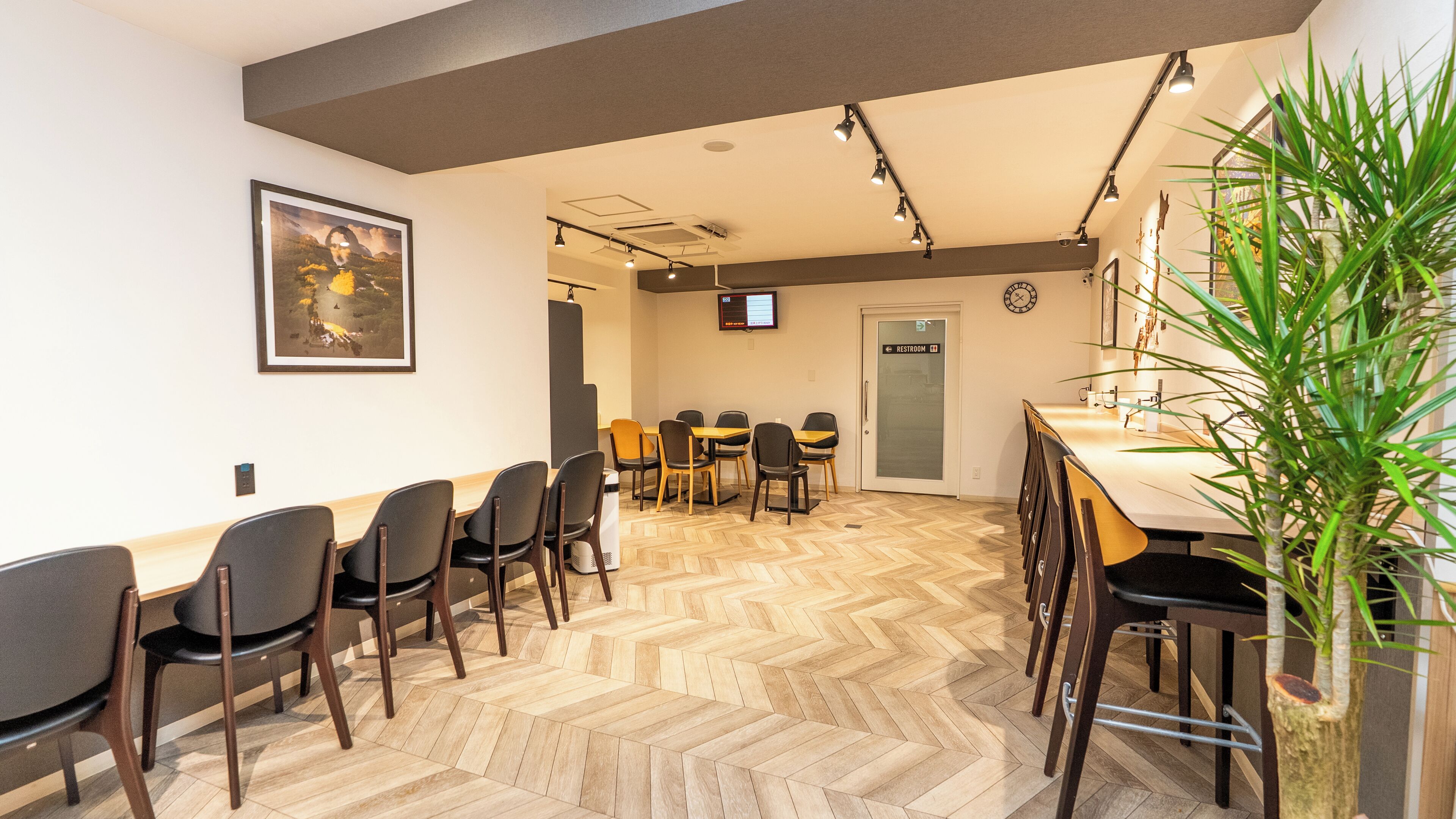 A conference room with a wooden herringbone floor, black chairs, a wooden table, and a large potted plant.