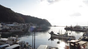 Un puerto con barcos amarrados, un pequeño edificio y una colina al fondo.