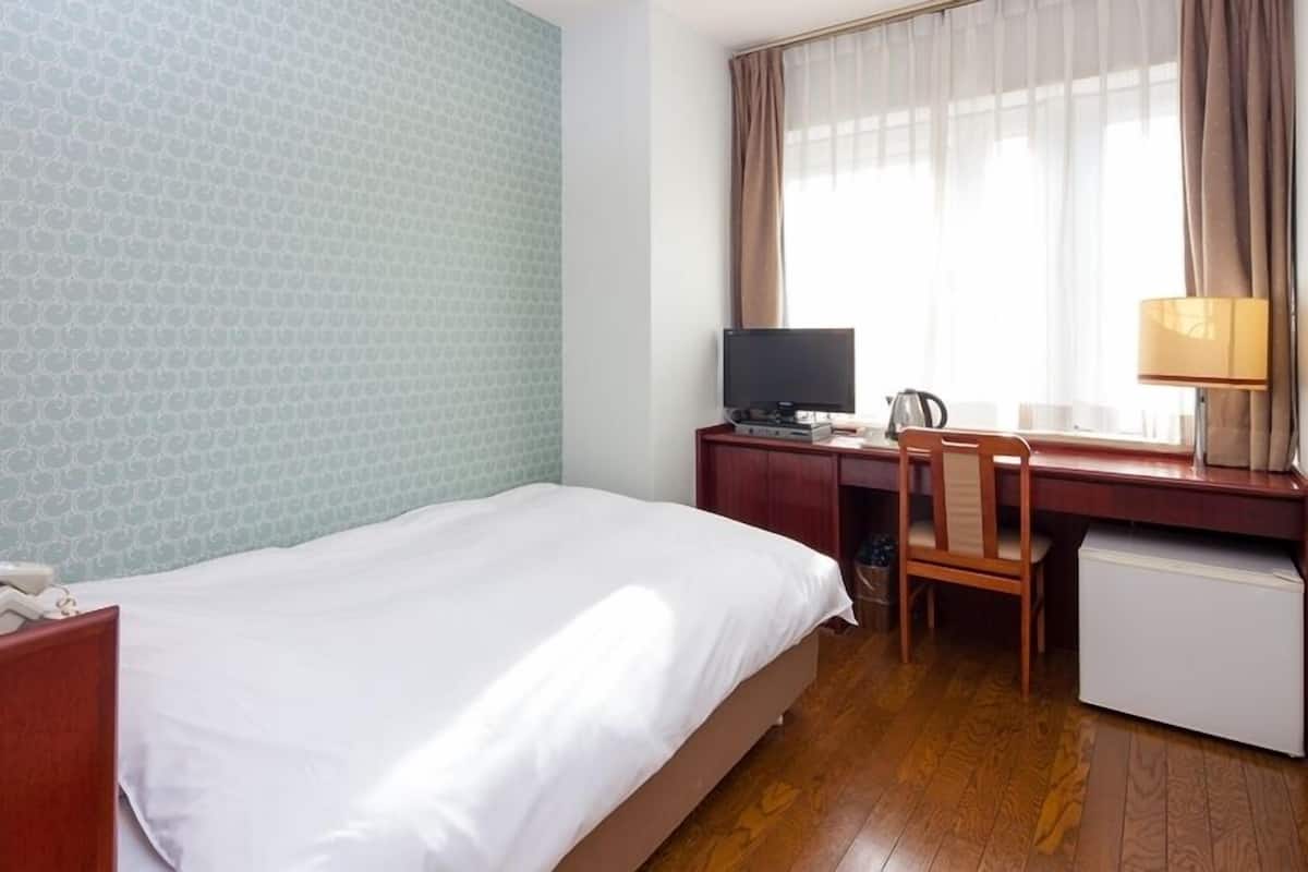 A hotel room with a bed, desk, chair, TV, and a telephone.