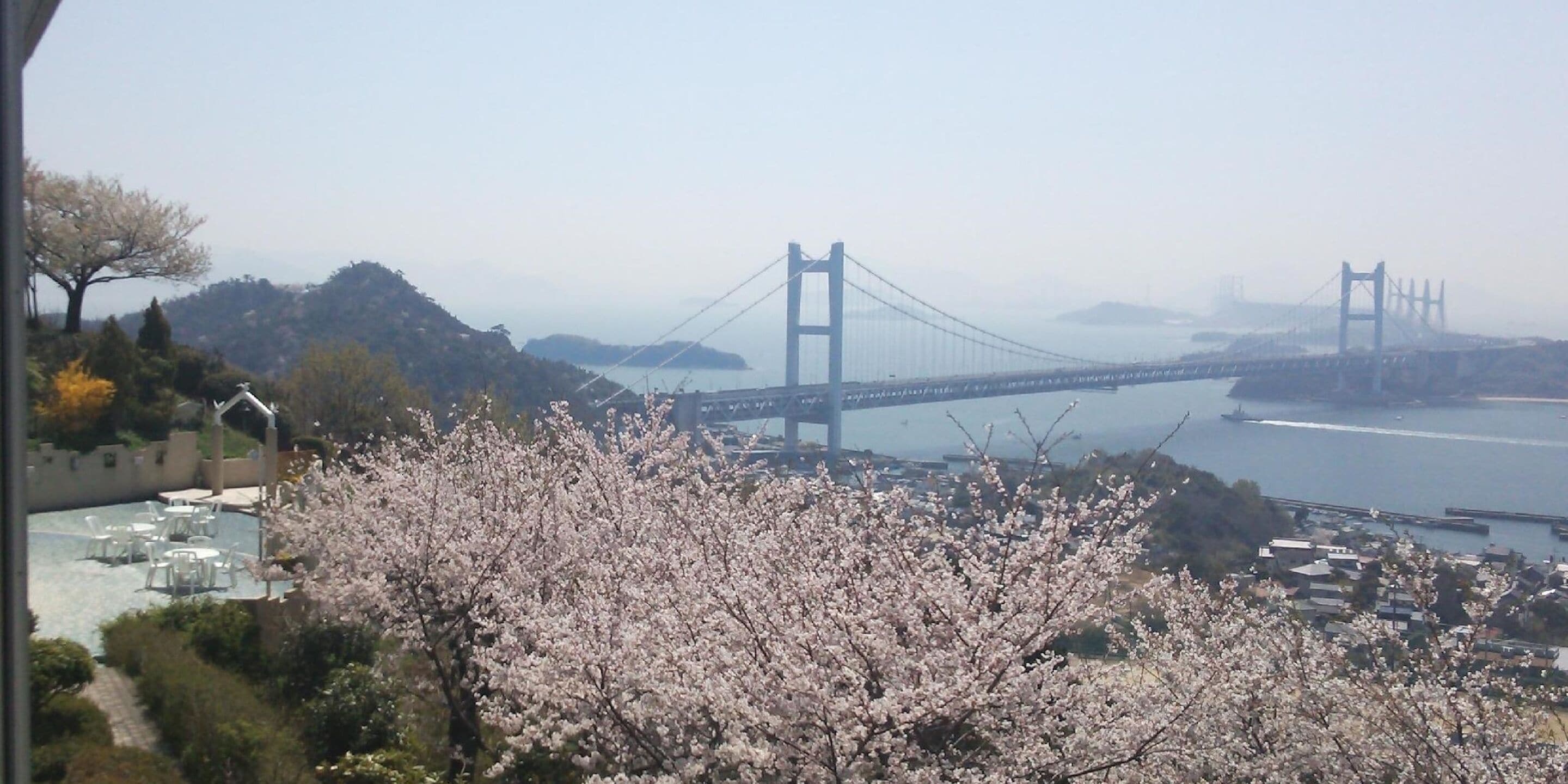 A view of a bridge and a body of water, with cherry blossoms in the foreground.