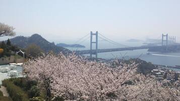 A view of a bridge and a body of water, with cherry blossoms in the foreground.