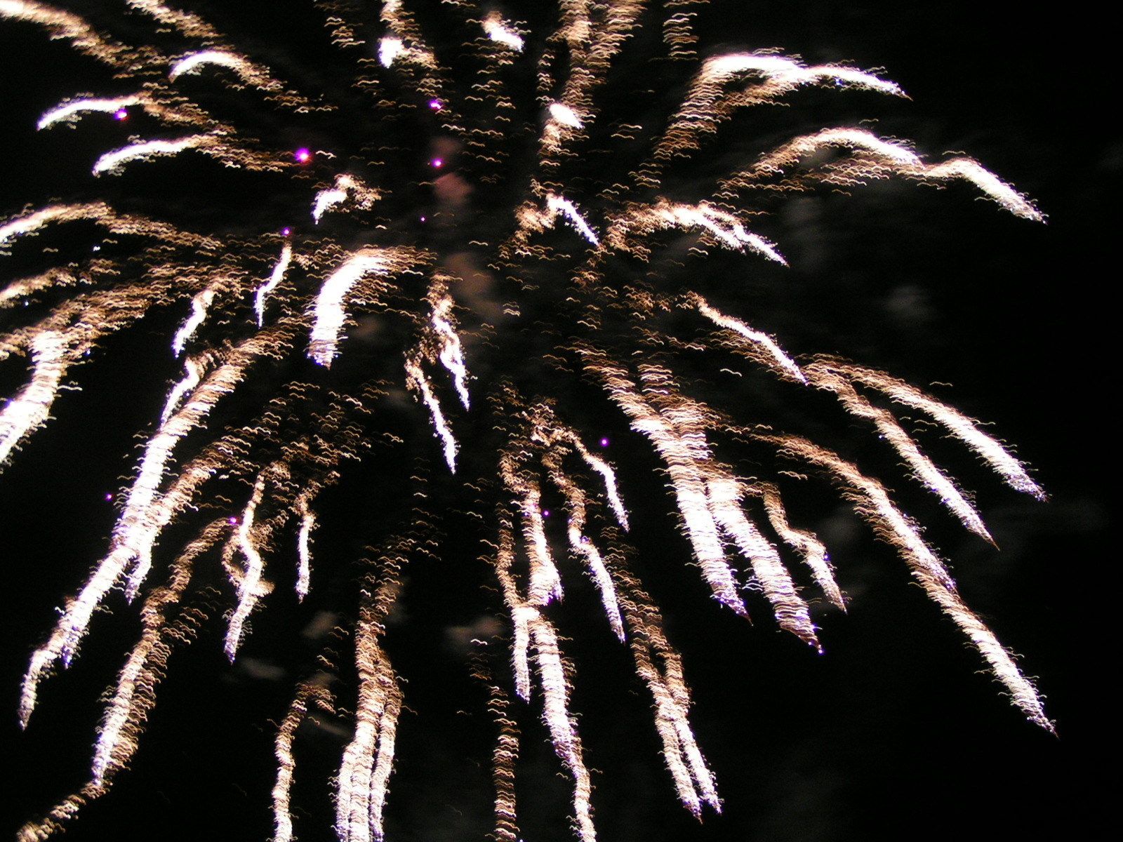 A night sky with fireworks.