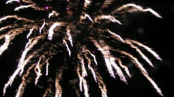 A night sky with fireworks.