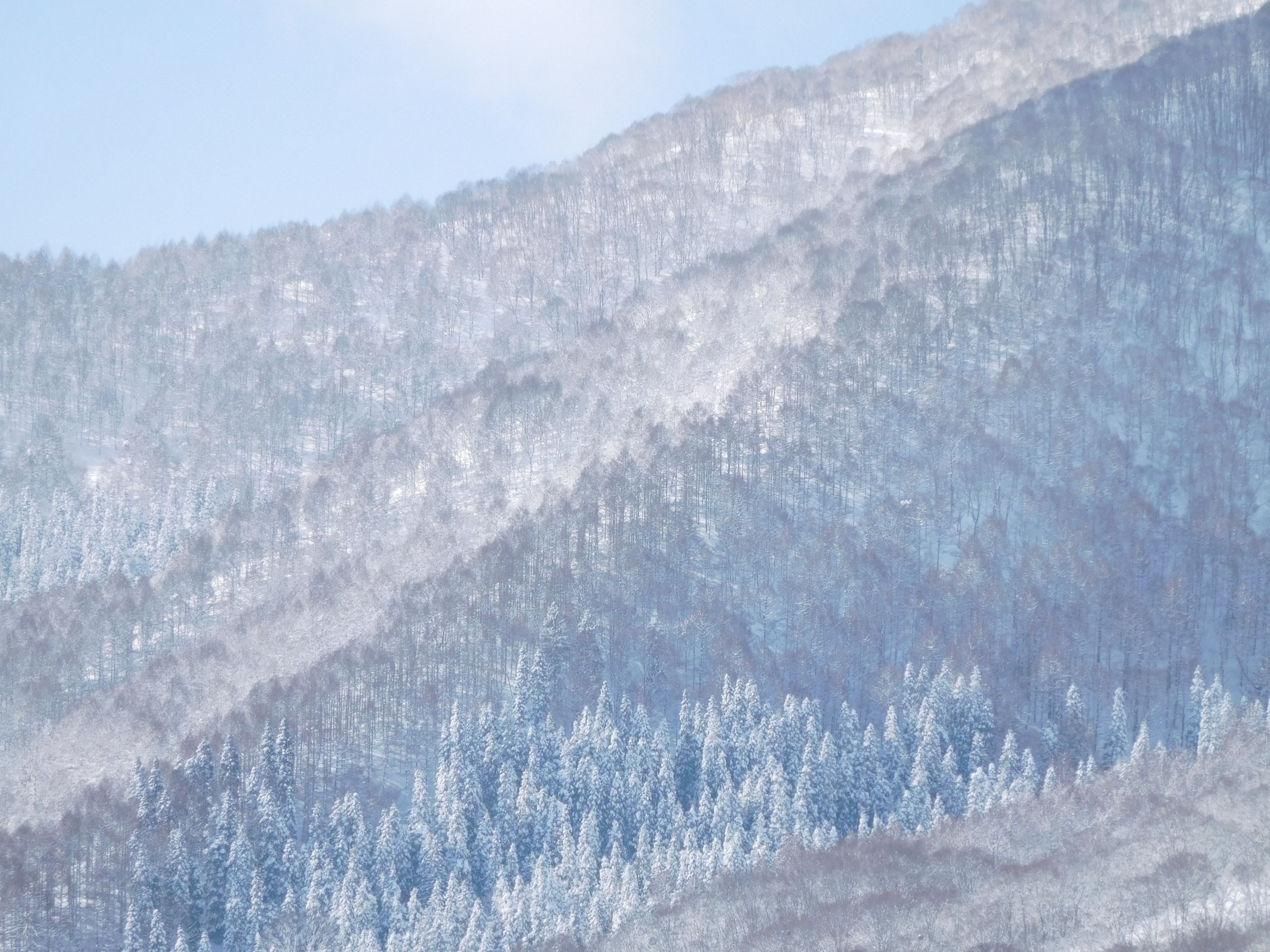 A snow-covered mountain landscape.
