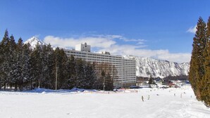 Um grande hotel com montanhas ao fundo, rodeado por árvores cobertas de neve e uma pista de esqui.