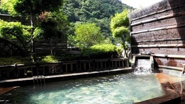 A stone pool with a waterfall, surrounded by lush greenery and a wooden structure. - Togurakamiyamadaonsen Shunjyuan Kikusui Ryokan (Chikuma)