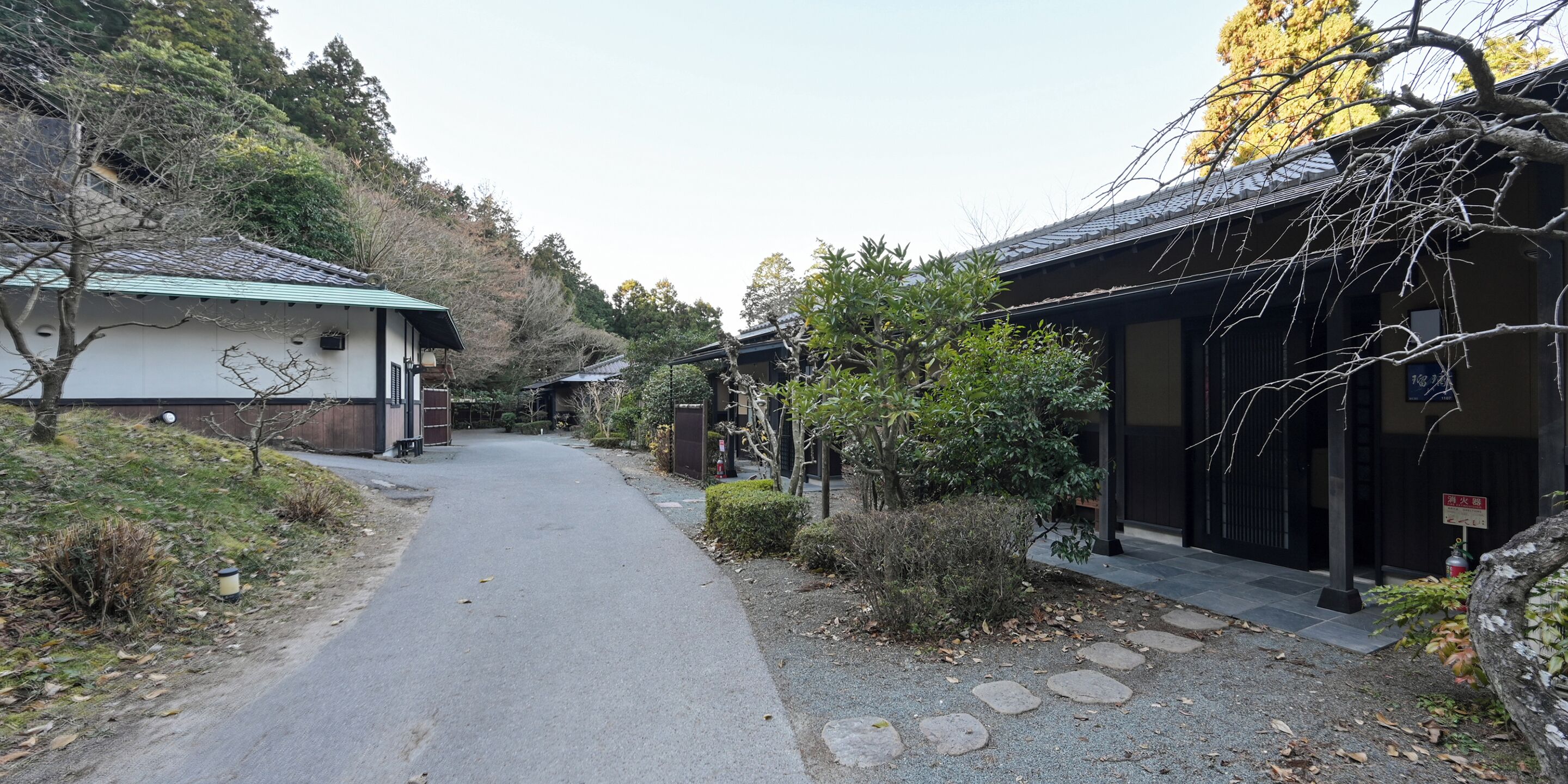 A narrow street with traditional buildings, stone pathways, and greenery.