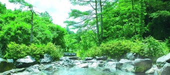 The Prince Karuizawa
