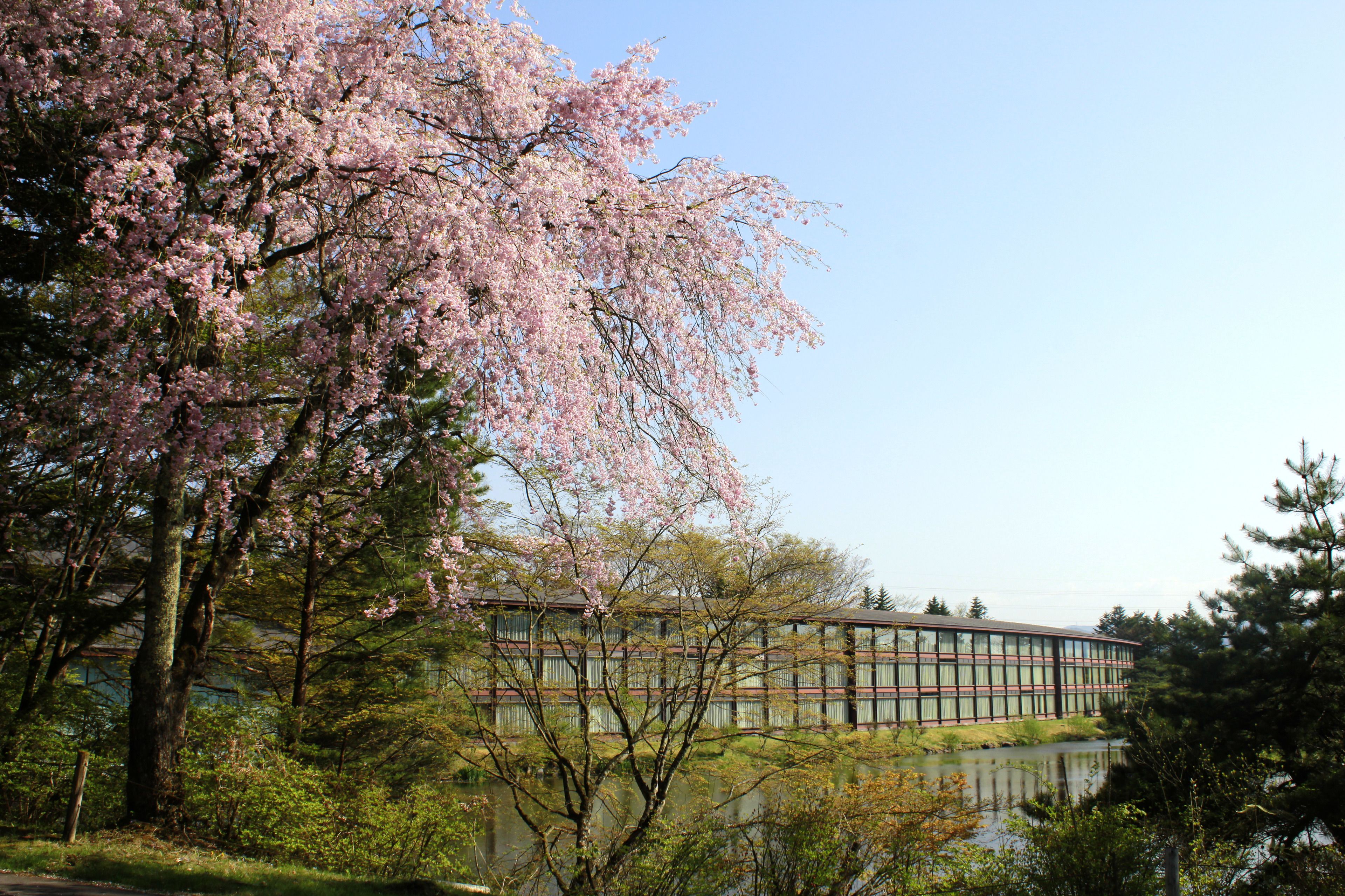 A building with a modern architectural style, surrounded by lush greenery and a body of water.
