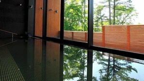 Un interior moderno con ventanas amplias, piso de madera y vistas a árboles.