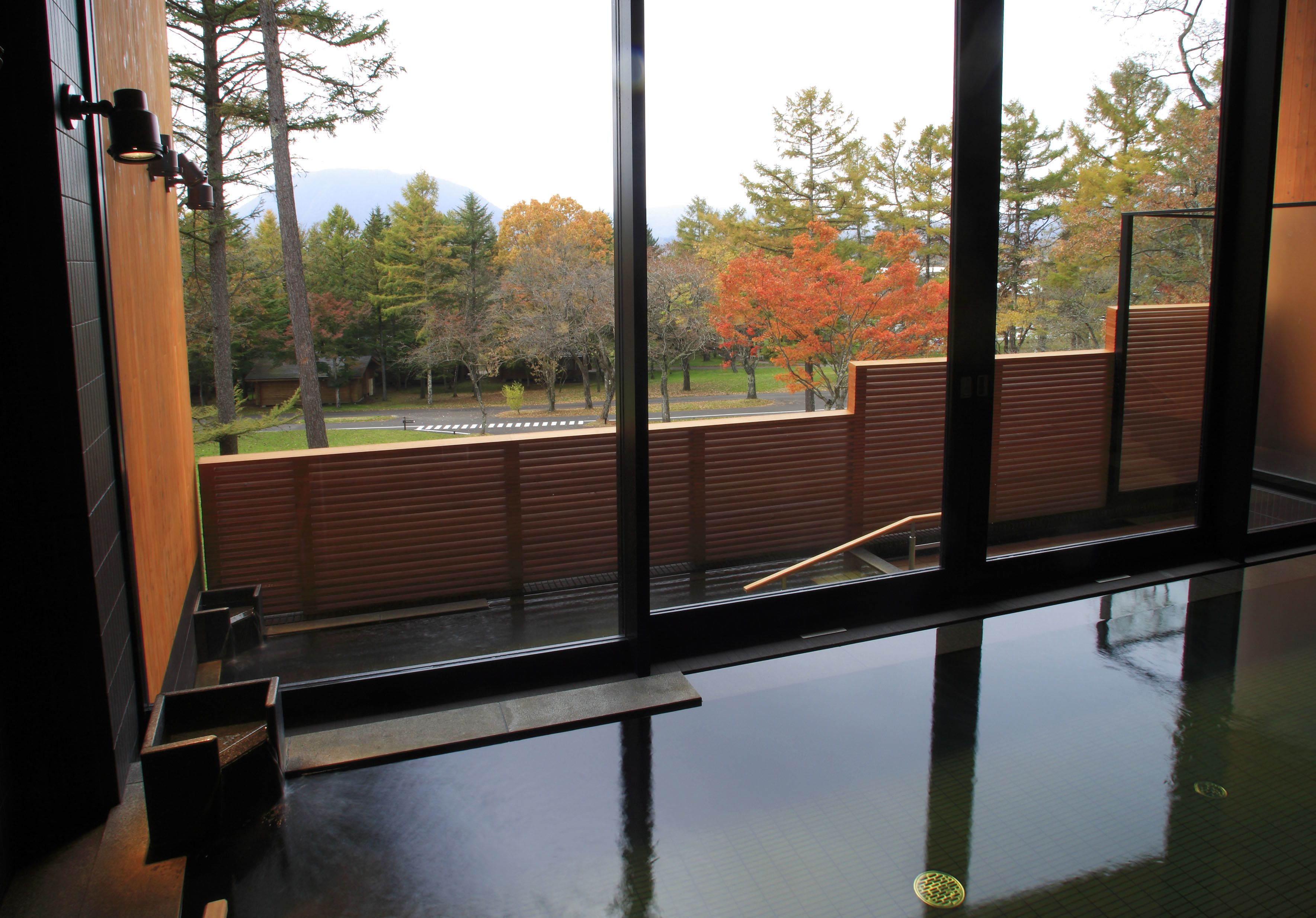 A room with a large window offering a view of trees and a road.