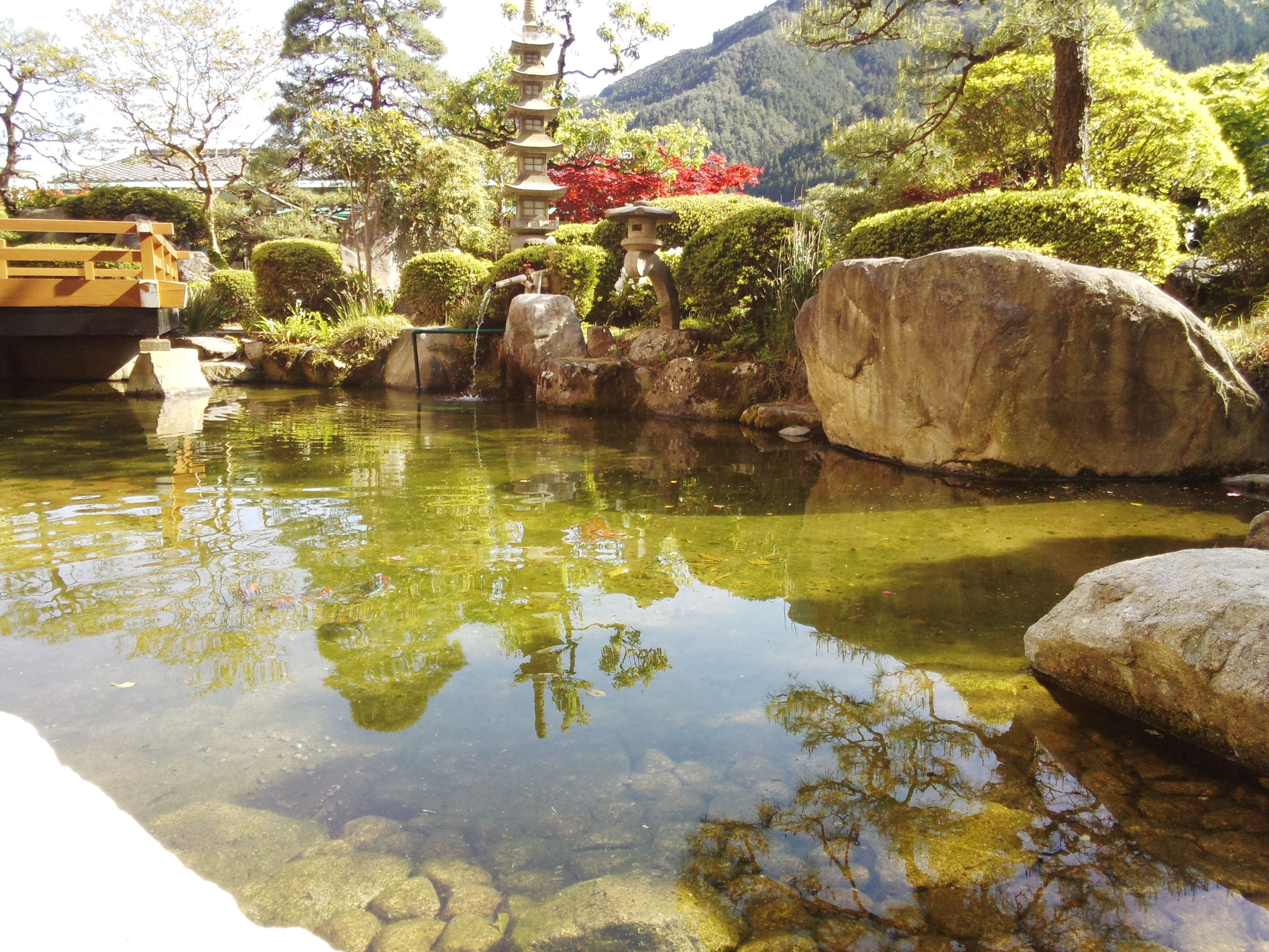 A tranquil garden with a clear pond, a pagoda, and well-maintained vegetation.