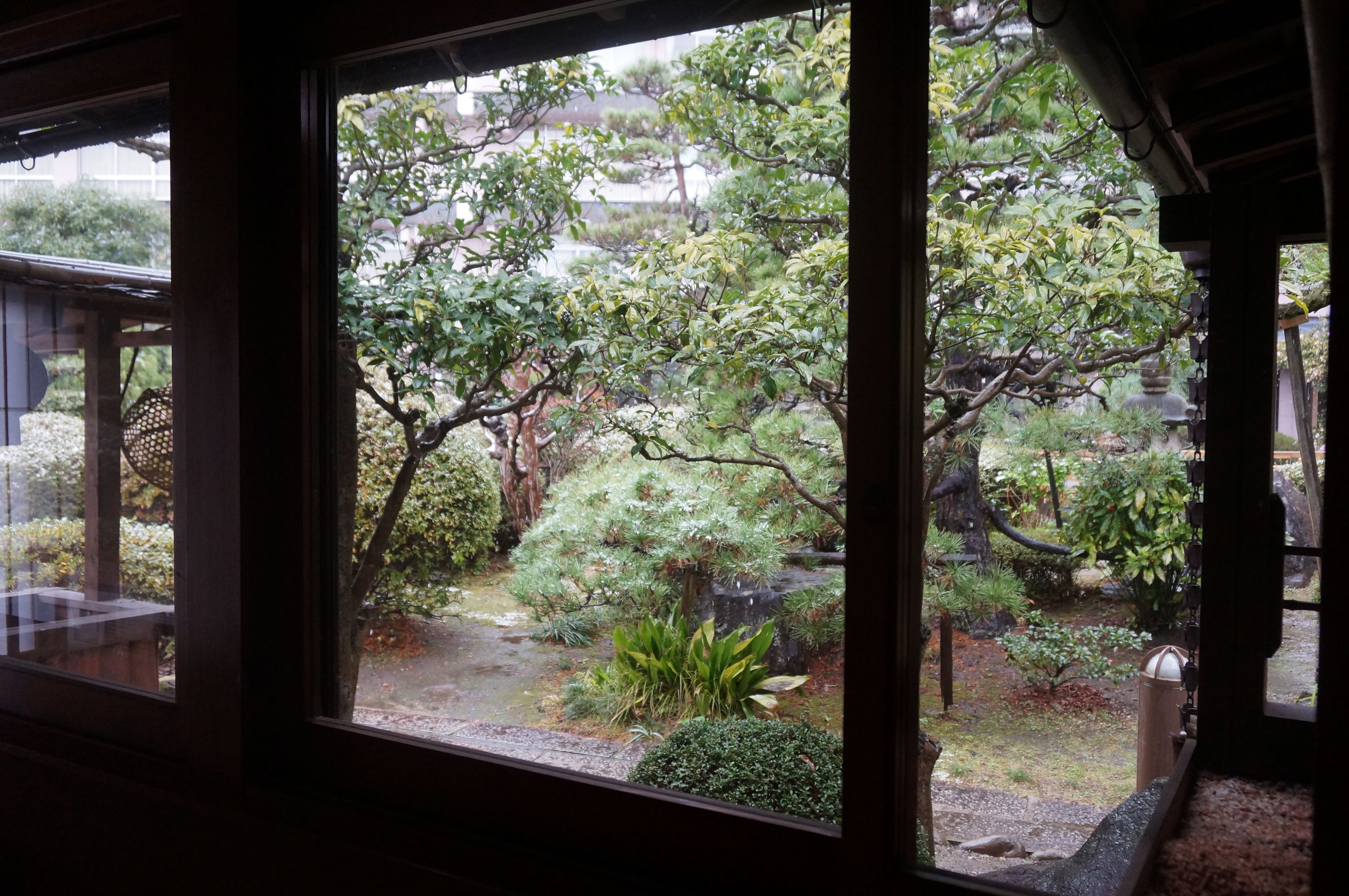 A view through a window of a traditional Japanese garden with a stone lantern and various plants.