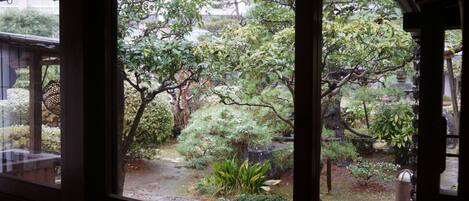 A view through a window of a traditional Japanese garden with a stone lantern and various plants.