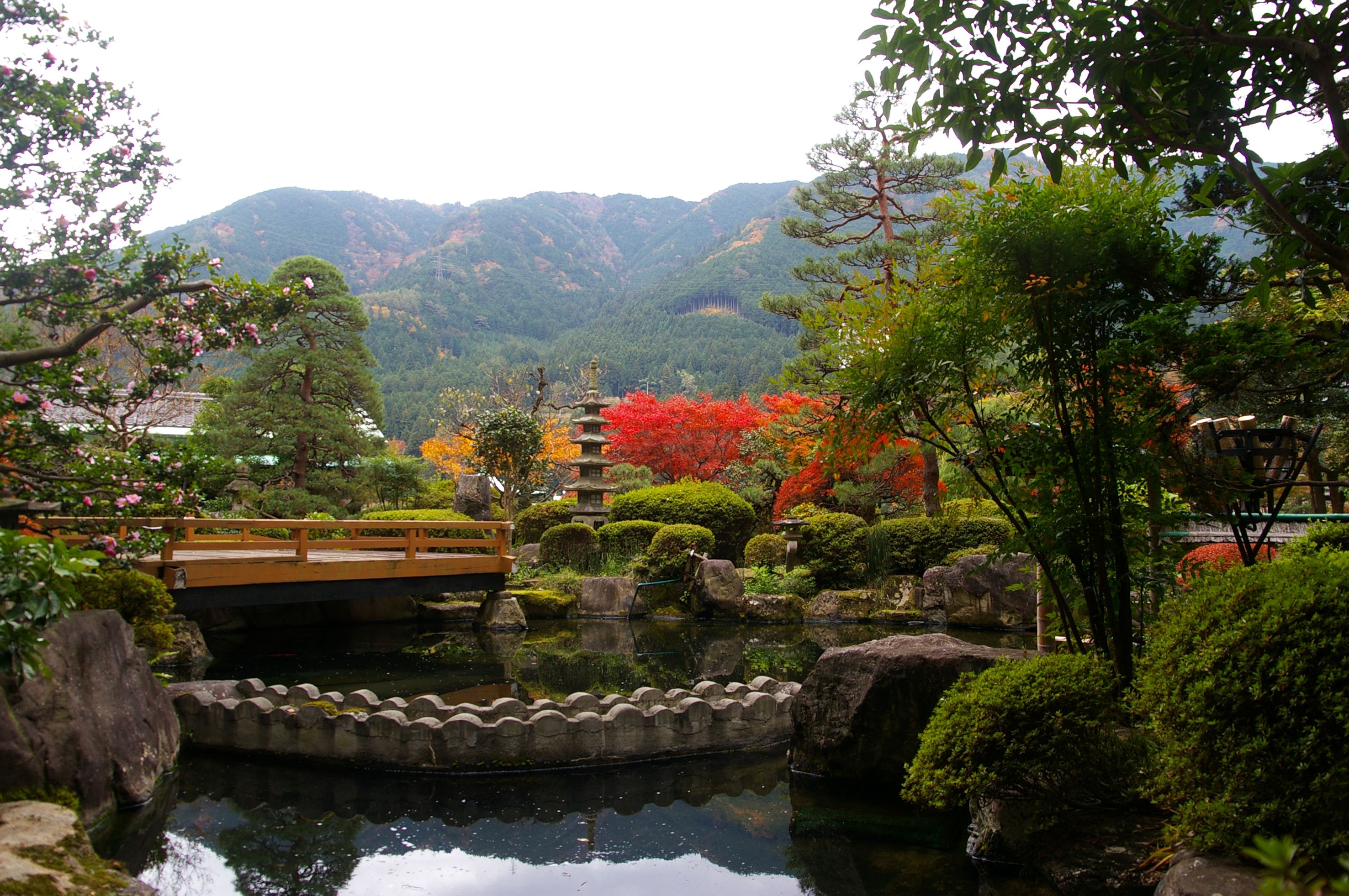庭園