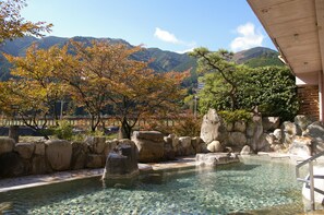 Hot springs/mineral springs, body treatments, aromatherapy, facials - Gero Onsen Bosenkan (Gero)