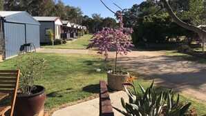 A residential area with a row of blue houses, a lawn, and a pink flowering tree. - Bundalong Holiday Resort (Bundalong)