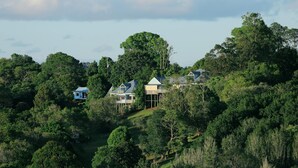 A secluded house surrounded by dense forest, featuring multiple structures with a prominent central building and a smaller structure to the left. - The Spotted Chook (Montville)