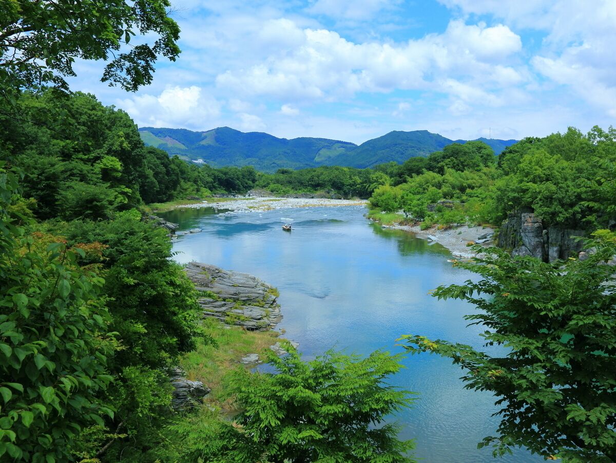 A river surrounded by lush greenery and mountains in the background.