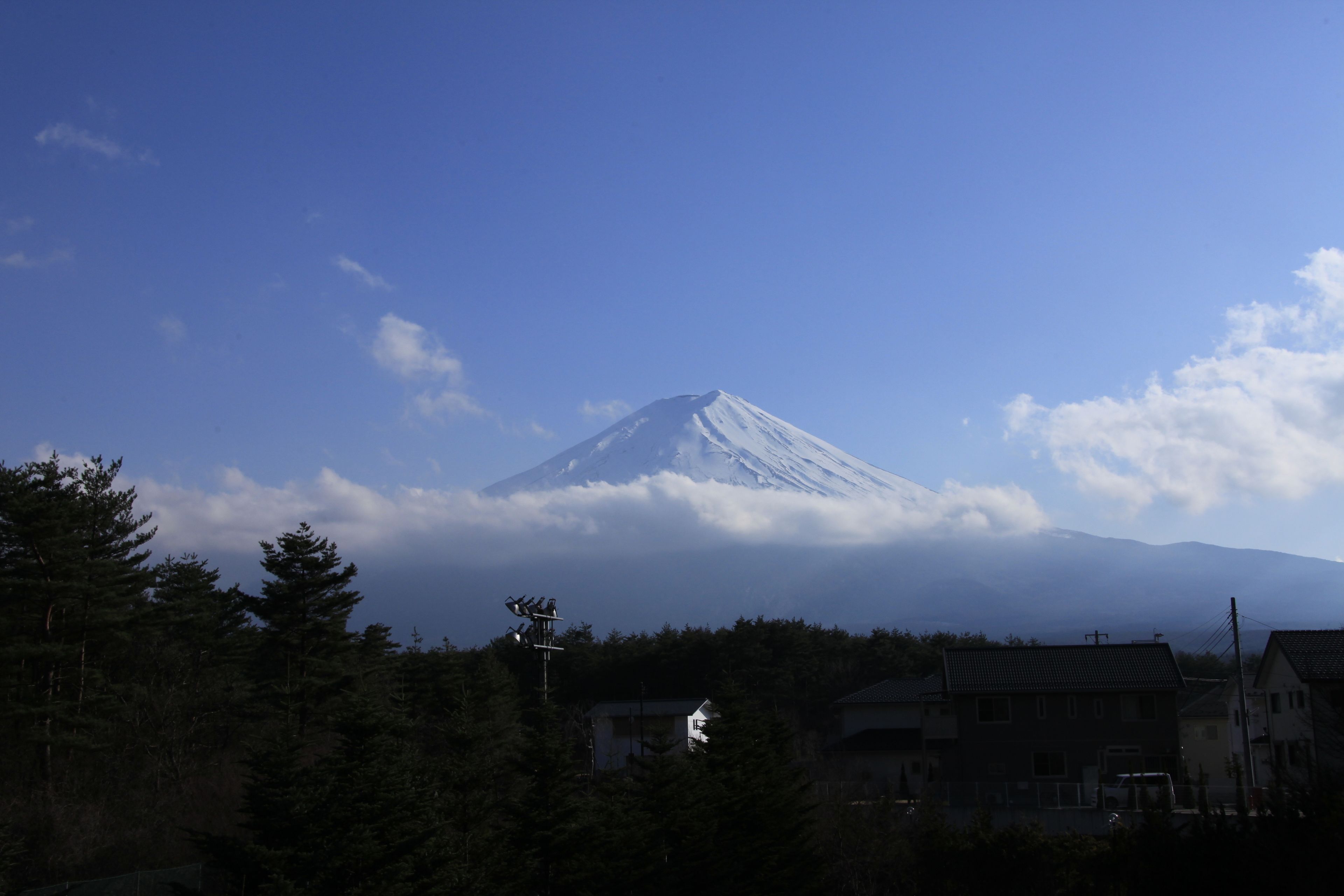 A snow-capped mountain with a clear sky and a forested area in the foreground.