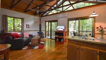 Flat-screen TV, fireplace, DVD player