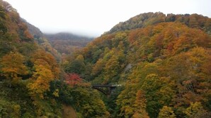 A waterfall surrounded by dense forest with a bridge in the background. - Uesugi Kenshinnokakushiyu Sekionsen Asahiya Ryokan (Myoko)