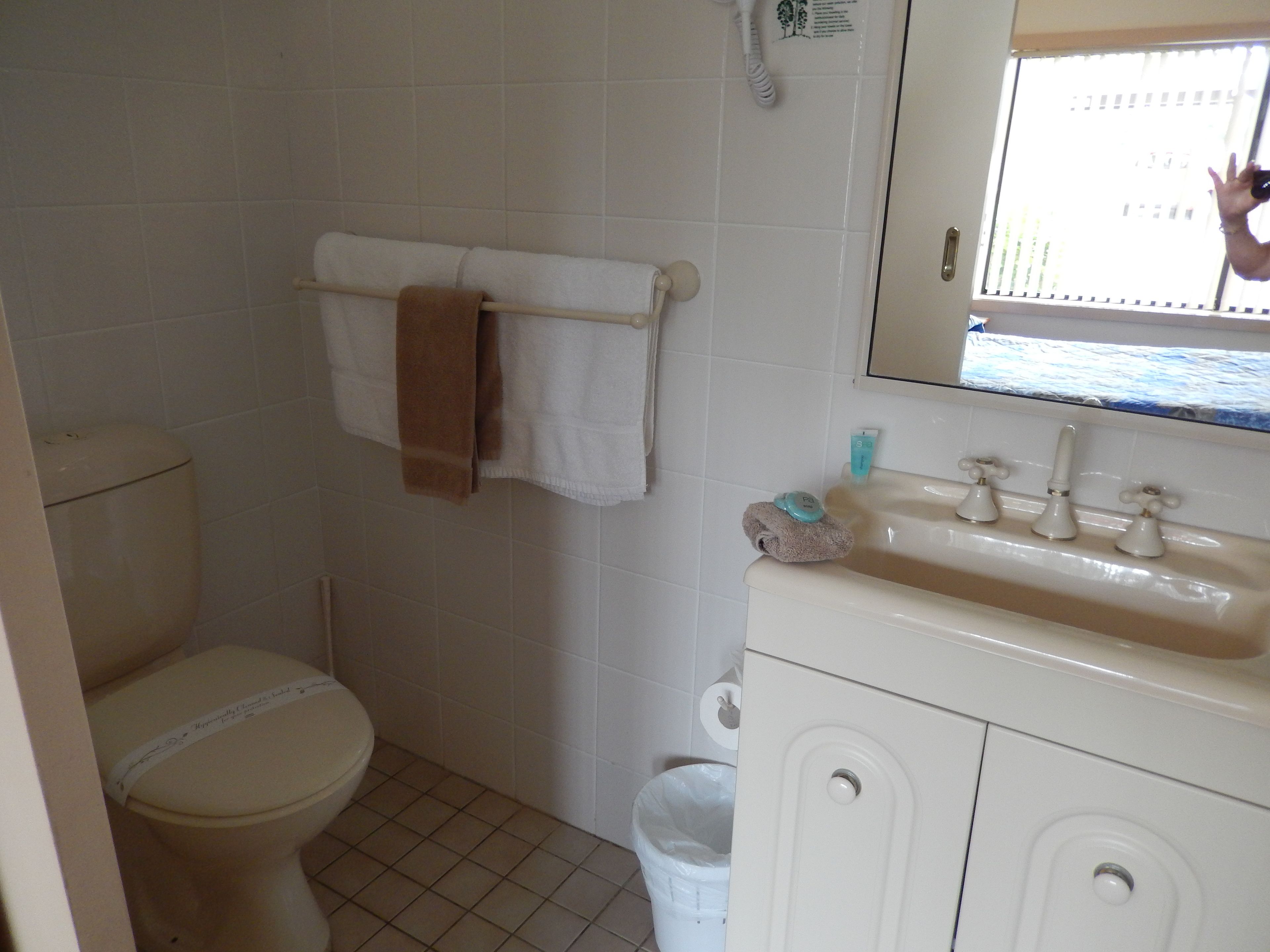 A bathroom with a toilet, a sink, and a mirror.
