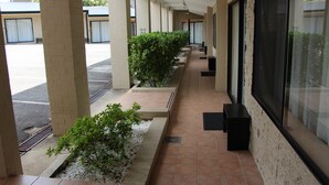 A covered walkway with brick pillars, potted plants, and a tiled floor leading to a building with large windows. - Pioneer Way Motel (Faulconbridge)