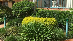 A residential building with multiple balconies, a palm tree, and a well-maintained garden with yellow flowers and green shrubs. - Town Beach Beachcomber Resort (Port Macquarie)