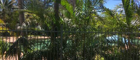 Jardín