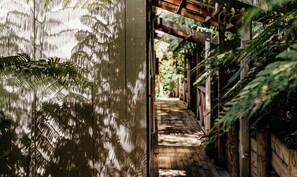 A wooden corridor with a wooden floor, surrounded by lush green ferns and trees. - Anchor Lodge Motel Coromandel (Coromandel)