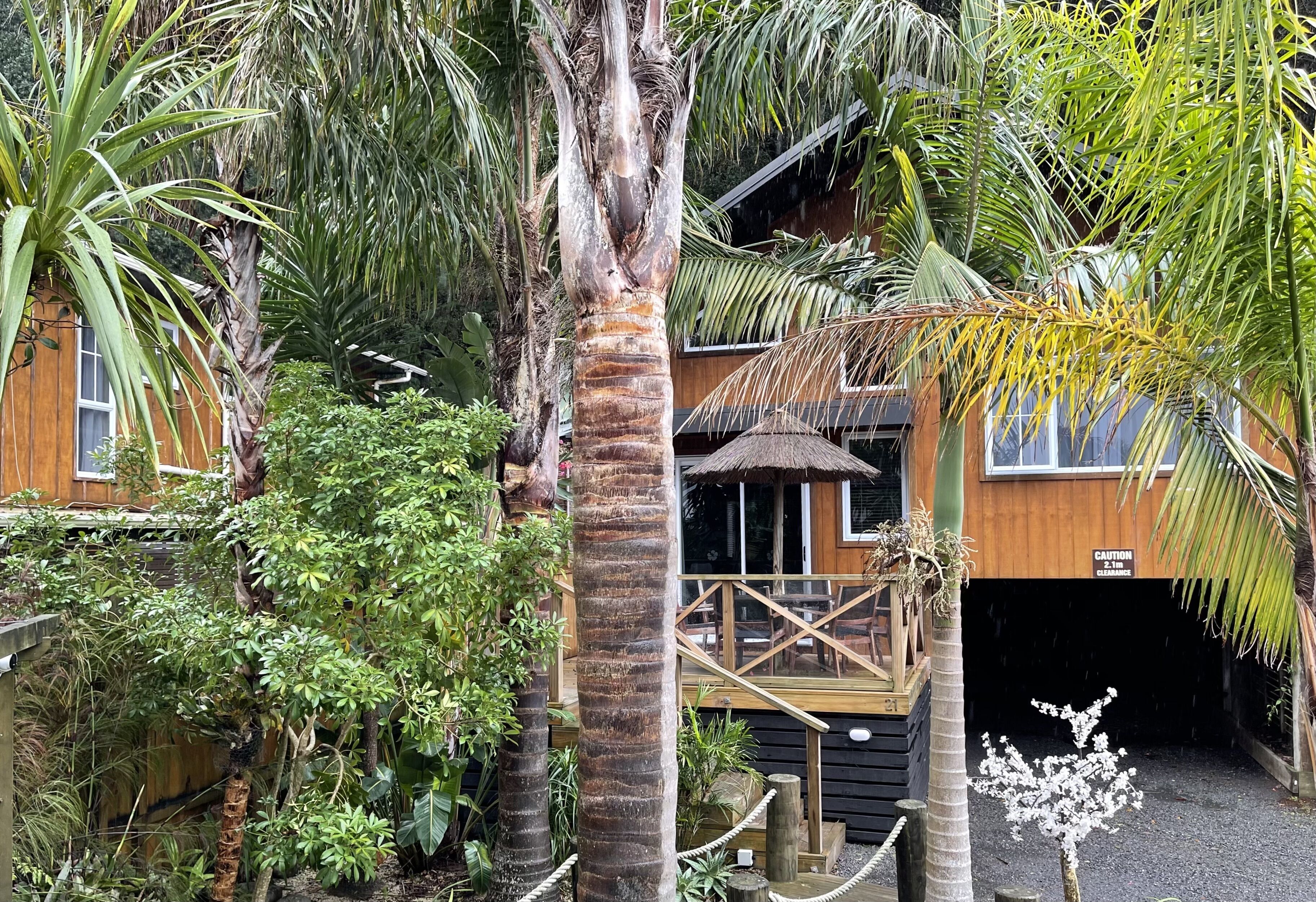A wooden cabin with a deck, surrounded by lush tropical vegetation.