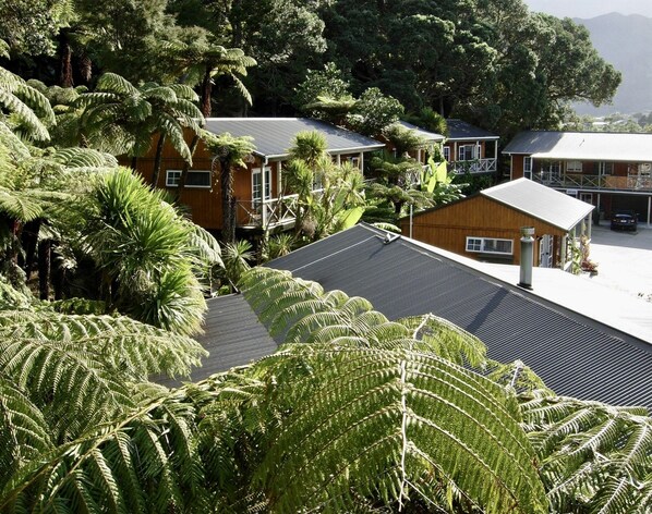 A residential area with multiple houses surrounded by lush greenery and ferns.