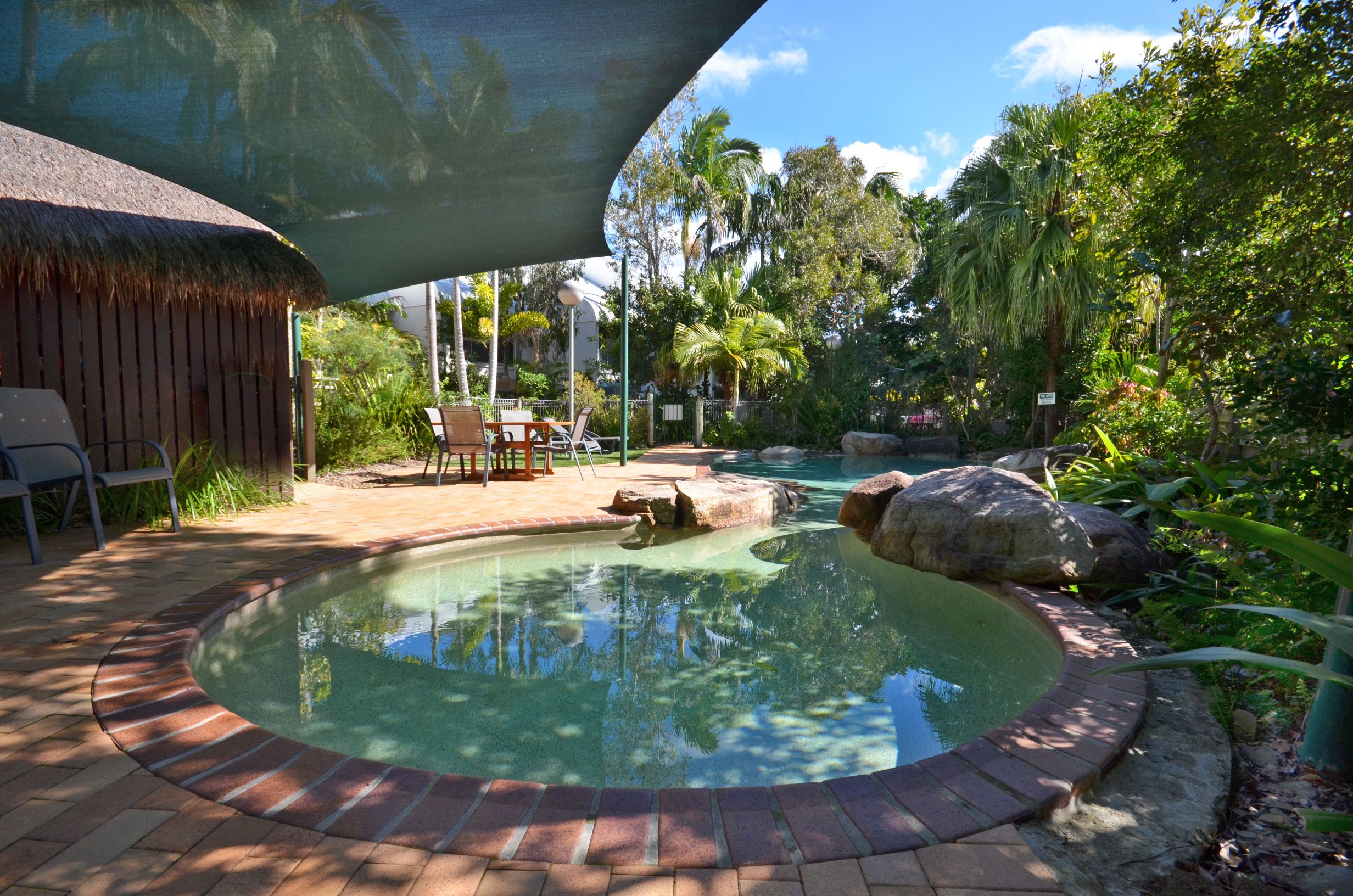 A circular pool with a brick border, surrounded by lush greenery and palm trees.