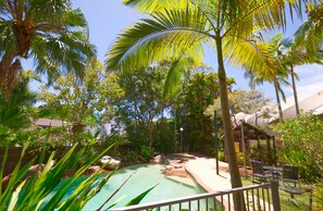 Jardí